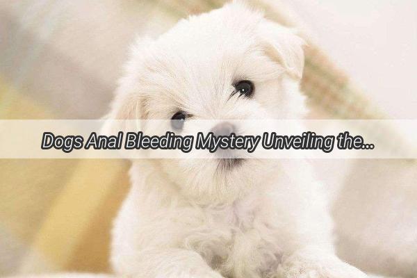 Dogs Anal Bleeding Mystery Unveiling the Shocking Truth Behind Bone Bonanza